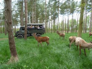 Lincolnshire Wolds Outdoor Festival
