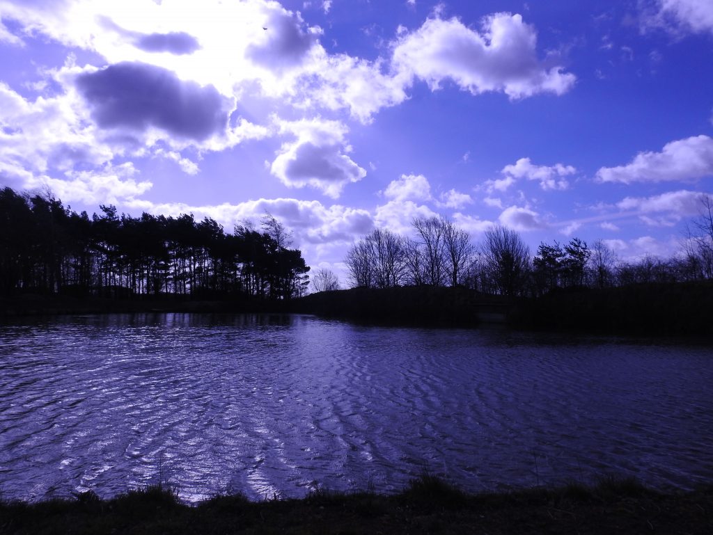 Perfect place to chill out