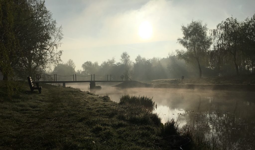 Sunrise at Swan Lodge