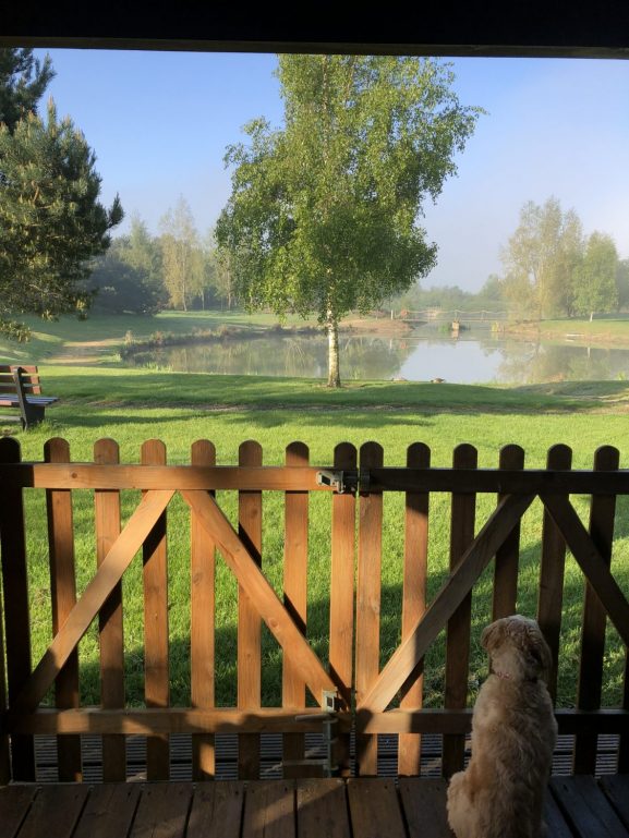 Early morning at Tawny Lodge