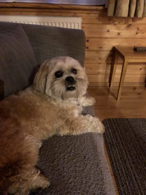 I can’t stop smiling it’s so lovely here