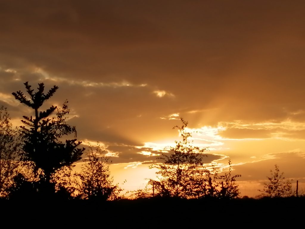 A perfect end to a perfect stay