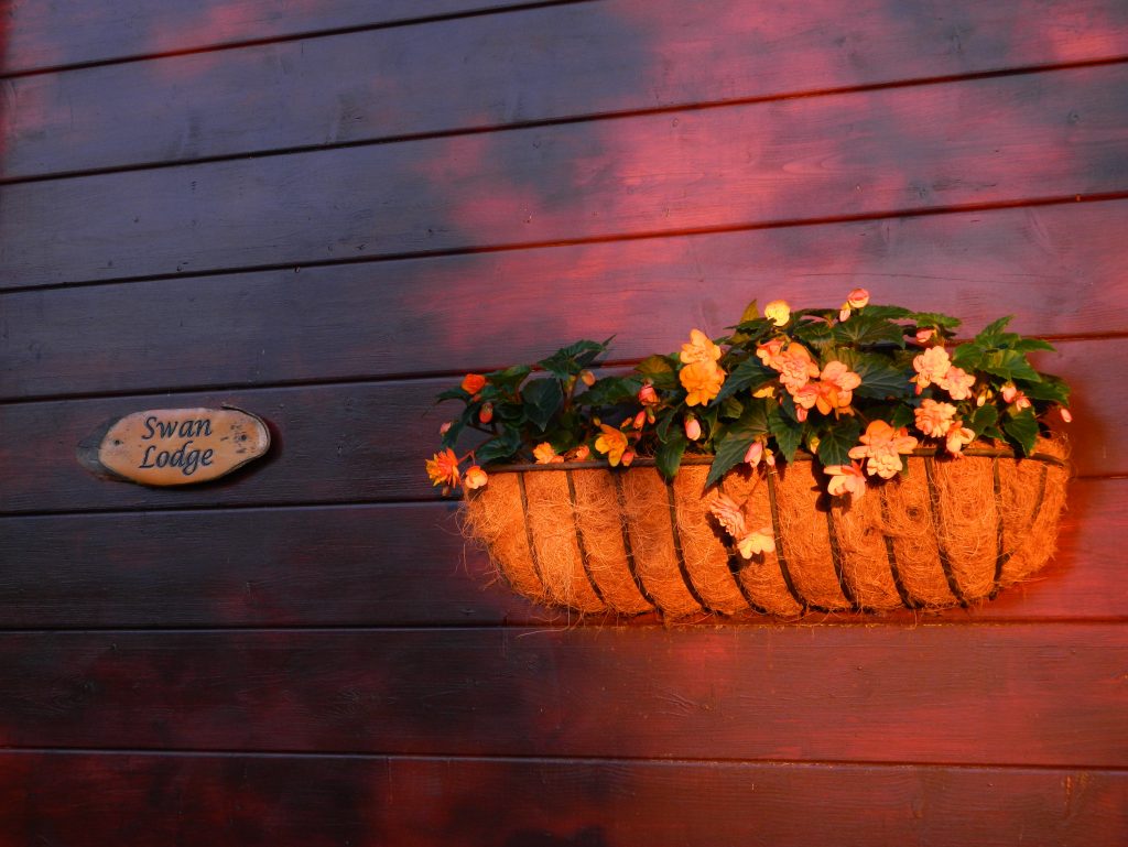 Sunlight on the Lodge