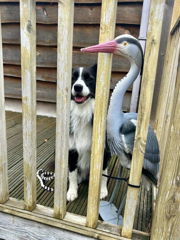 It’s good here isn’t it mate