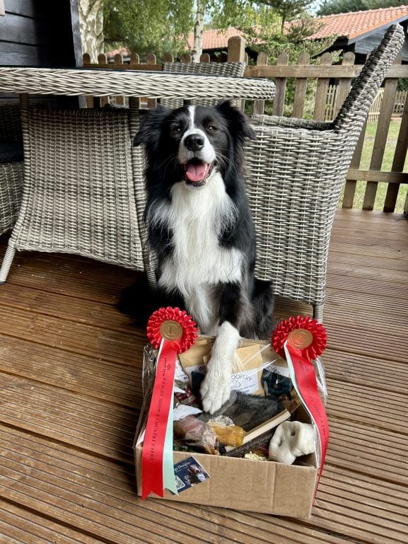 BEST IN SHOW AT THE WRAGBY SHOW 2025