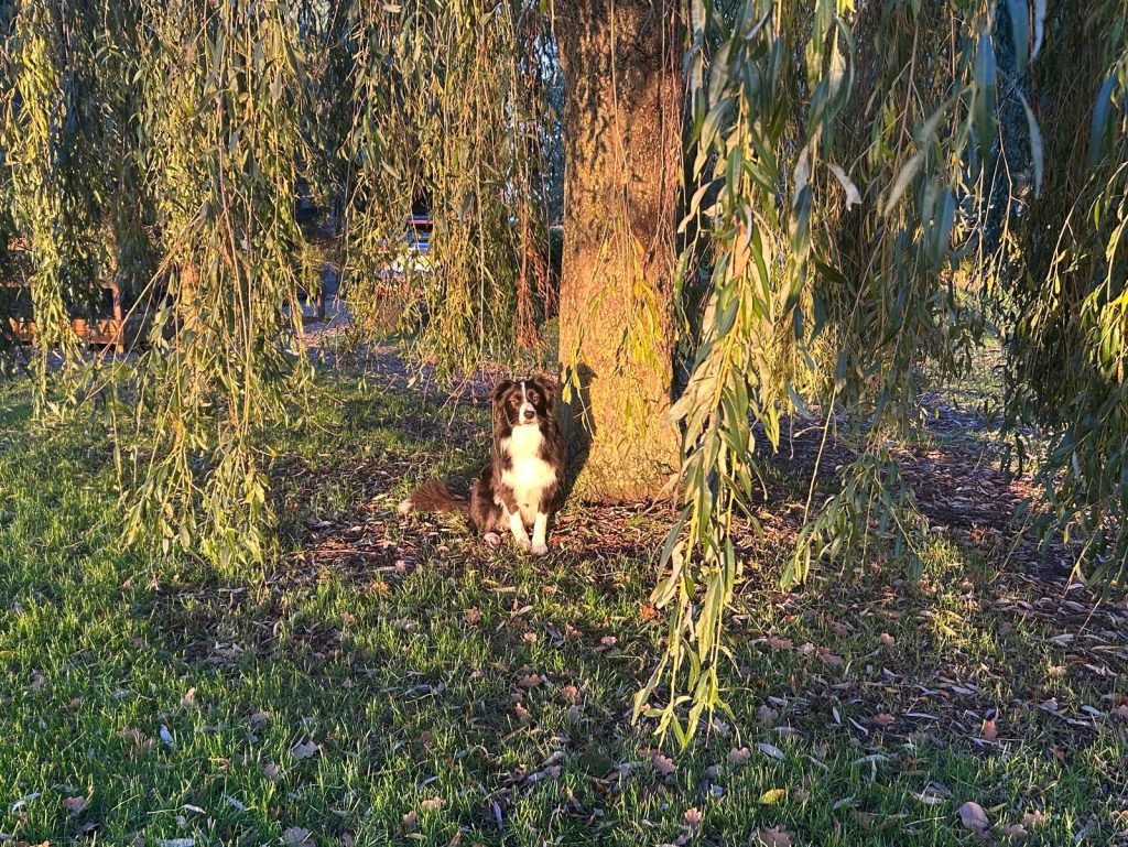 Can ya see me ☺️