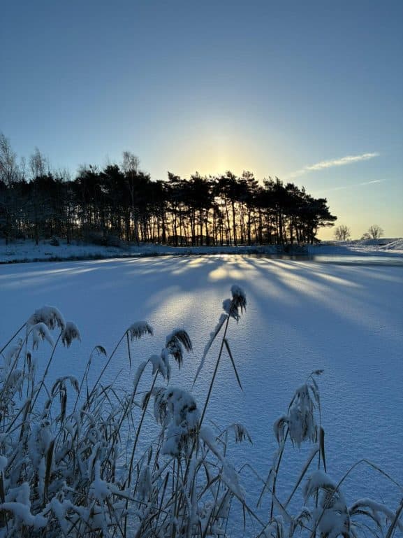 A snowy start to 2026!