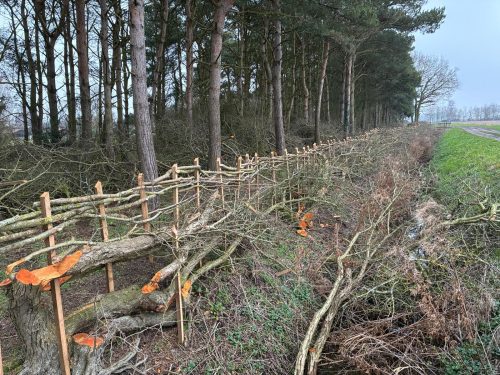 Updates from around the farm