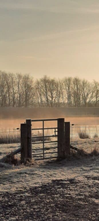 Spring Photo Competition