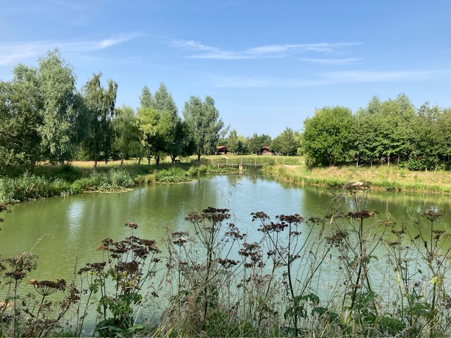 Spring Photo Competition – Lodge Lake