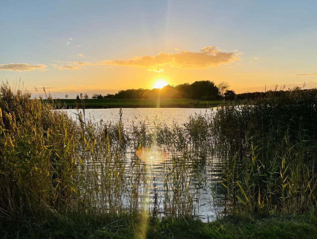 Spring Photo Competition – Sunrise on the Reservoir